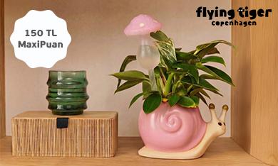 Flying Tiger Copenhagen'da 150 TL MaxiPuan